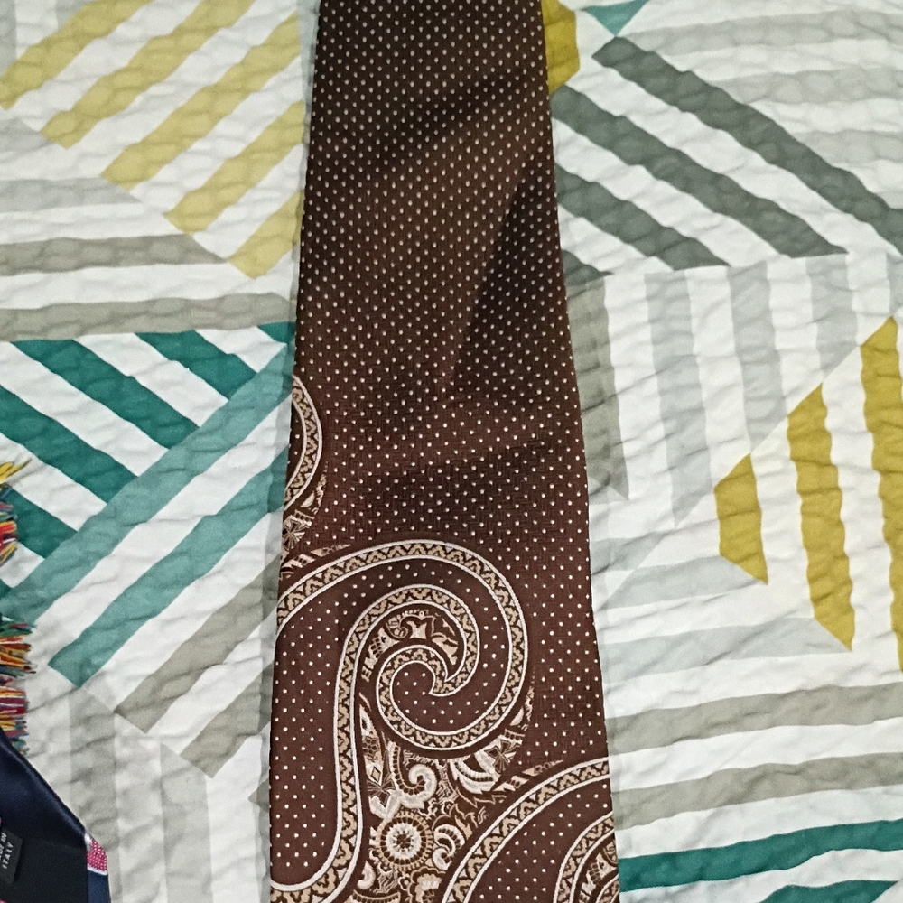 Elegant Brown Paisley Tie